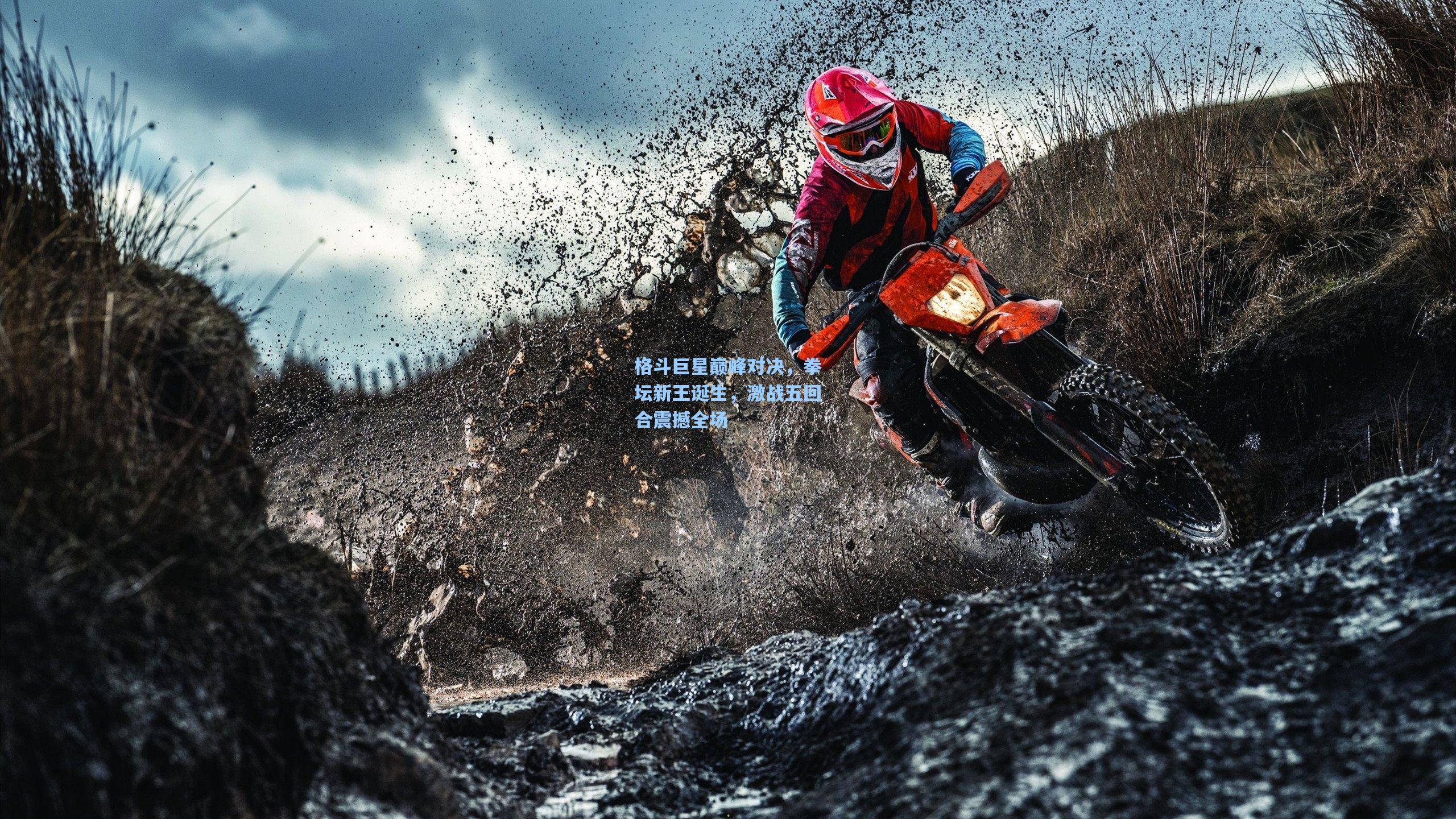 格斗巨星巅峰对决,拳坛新王诞生,激战五回合震撼全场